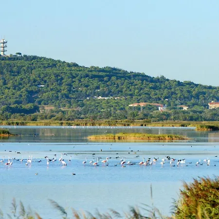 Les Terrasses De La Plage-4 By Interhome Apartament